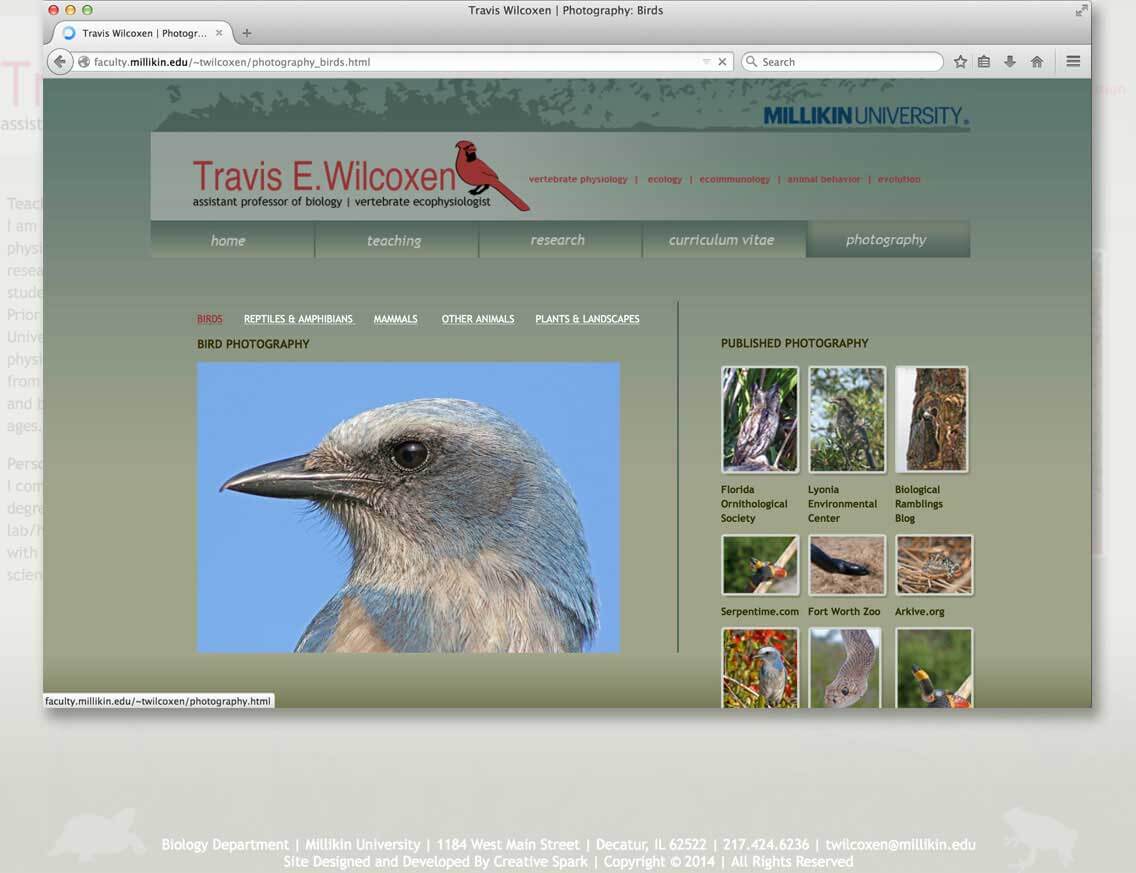 Travis Wilcoxen Website